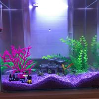 Acquario 40 Lt senza pesci