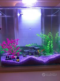Acquario 40 Lt senza pesci