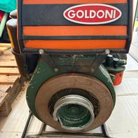Motocoltivatore goldoni