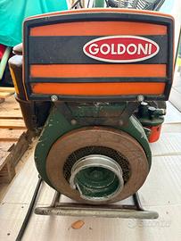 Motocoltivatore goldoni