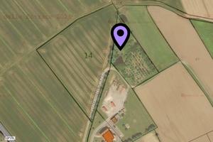 Terreno agricolo bosco Cinto Caomaggiore
