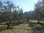 Immagine 10