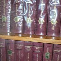 Enciclopedia medica Utet