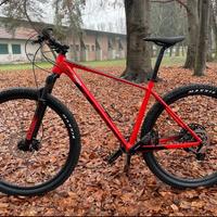 Scott scale 970