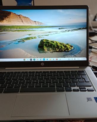 Chromebook Hp