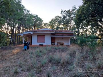 Villa Immersa nel verde