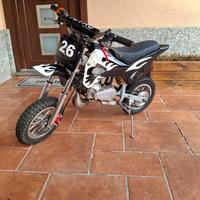 minimoto mini cross 