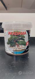 Akadama. Terriccio per bonsai