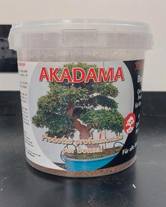 Akadama. Terriccio per bonsai