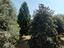 Immagine 12