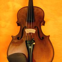 Violino