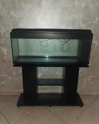 acquario