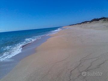 Salento settimane sett