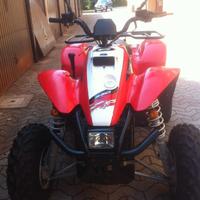 Altro Altro modello - 2008