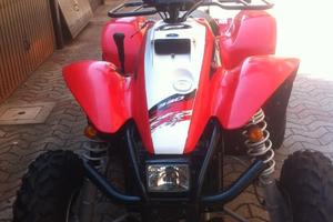 Altro Altro modello - 2008