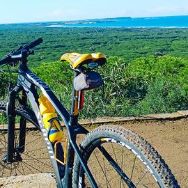 MTB Scapin 