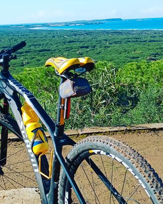 MTB Scapin 
