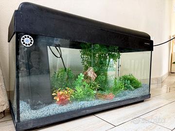 Acquario 80 l