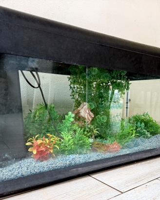 Acquario 80 l
