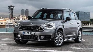 Ricambi mini countryman 2019