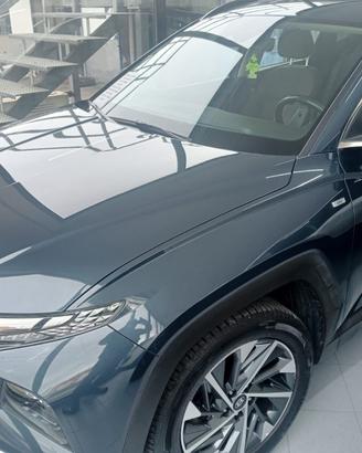 Hyundai Tucson 1.6 CRDI MHEV 48V XLine