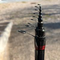 Canna bolognese Estreme Daiwa Trabucco