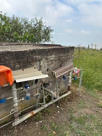 Terreno 7.400 mq con LUCE e ACQUA - Adrano - Pizzo