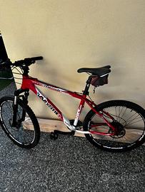 Mountain bike
