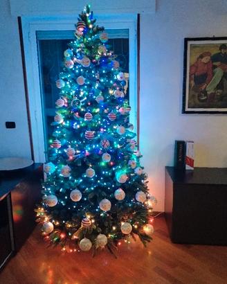 Albero di natale