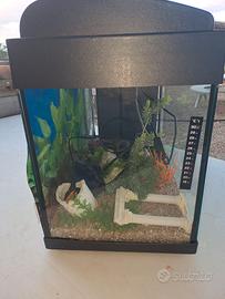Acquario