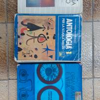 libri anni 80 scolastici antologia diritto