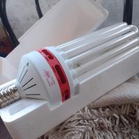 lampada da casa o giardino 
