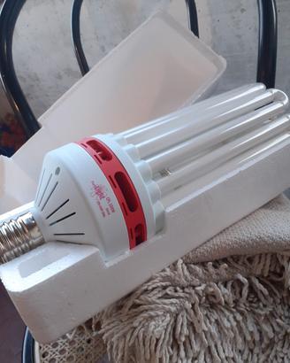 lampada da casa o giardino 