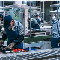 Operaia metalmeccanica cat protetta MOLEX