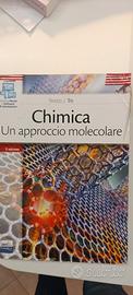 chimica un approccio molecolare 