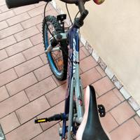 bicicletta