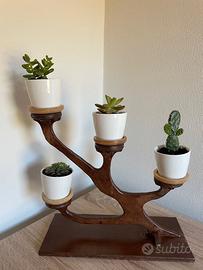 Composizione piante stile bonsai (ST2)