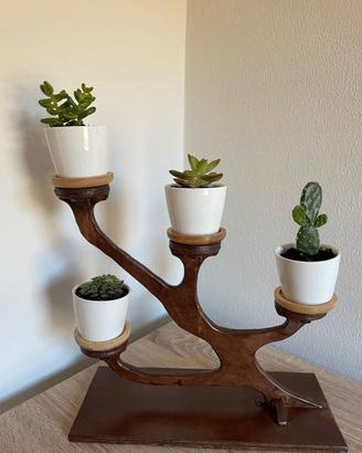 Composizione piante stile bonsai (ST2)