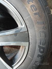 Gomme invernati