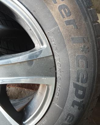 Gomme invernati