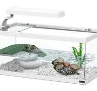 Aquatlantis Tortum 40 Tartarughiera 40x20x18h