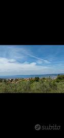 Terreno agricolo con vista sul golfo di Trieste