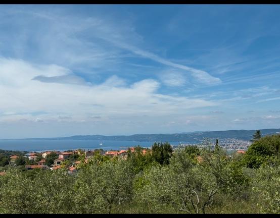 Terreno agricolo con vista sul golfo di Trieste