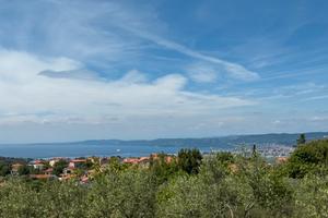 Terreno agricolo con vista sul golfo di Trieste