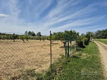 Terreno Agricolo Grosseto [Cod. rif 3235532VCG]