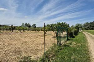 Terreno Agricolo Grosseto [Cod. rif 3235532VCG]