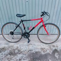 MOUNTAIN BIKE