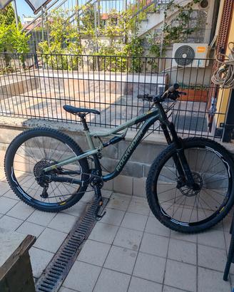 Rockrider Am500Ltd