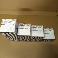 viti autofilettanti wurth