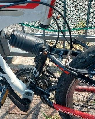 Mountain bike Elios biammortizzata